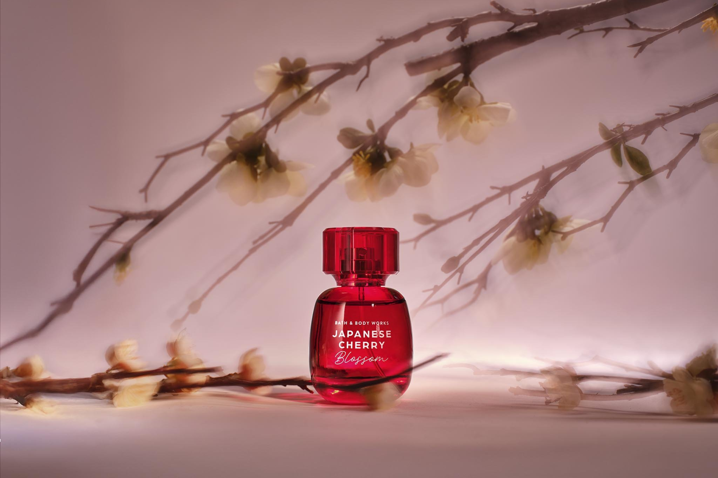 Bath & Body Works Celebrates 20 Years of Japanese Cherry Blossom